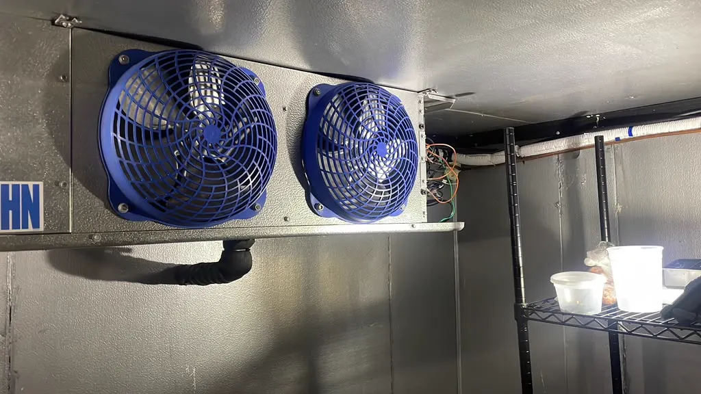 Walk-in freezer compressor and controls